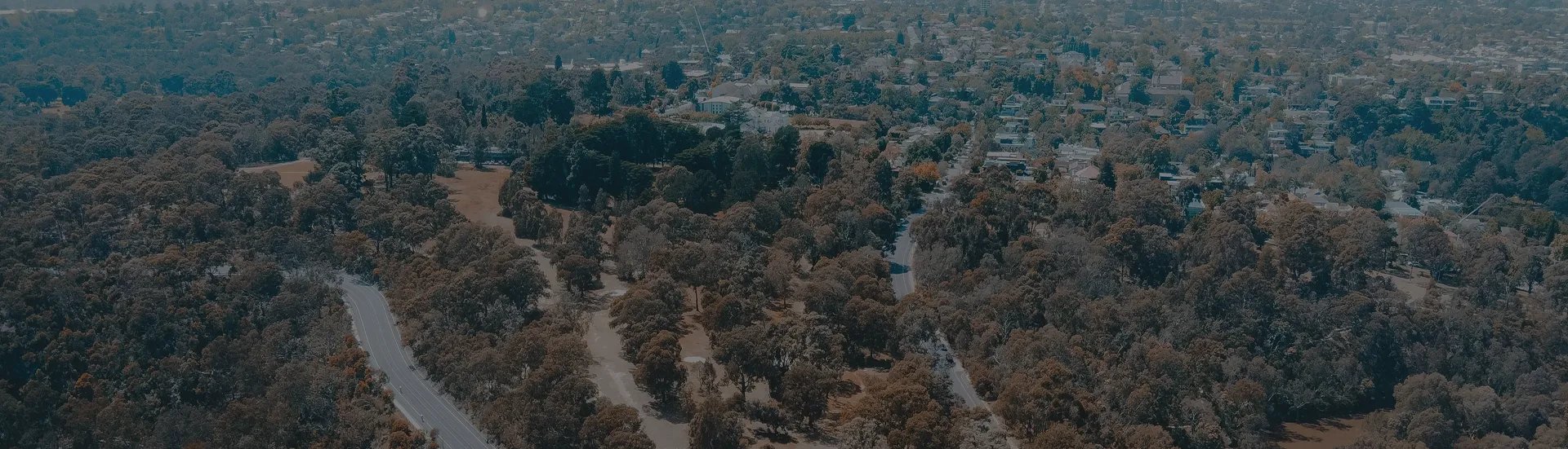 Hero background